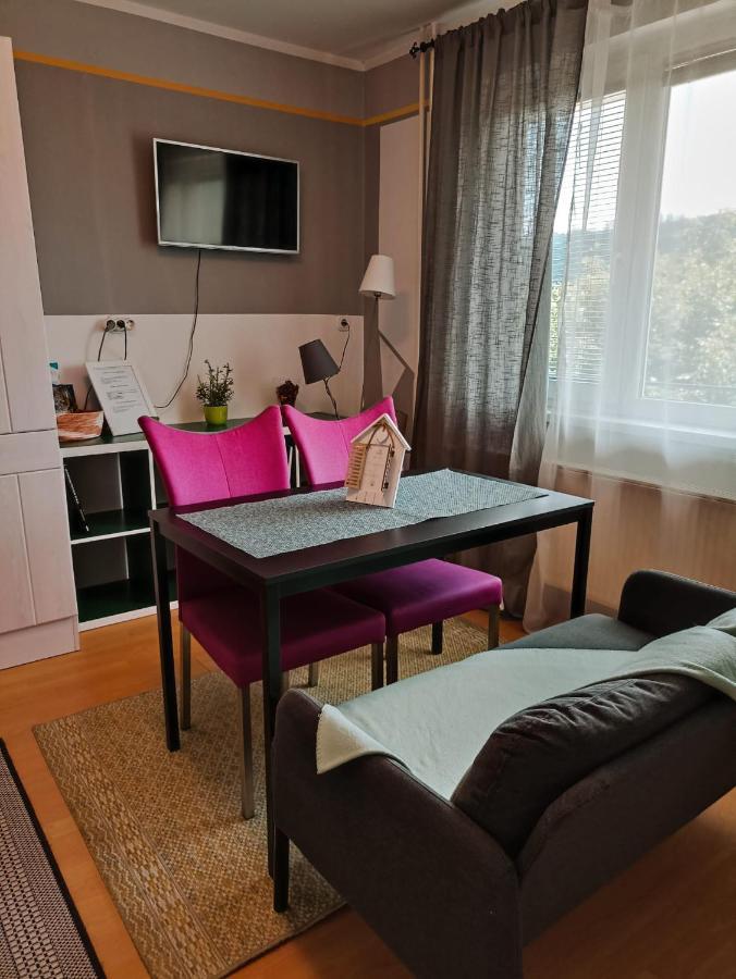 Apartmaji Sofia 마리보르 외부 사진